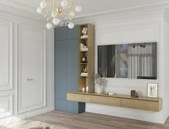 Luxury Living Room Renovation