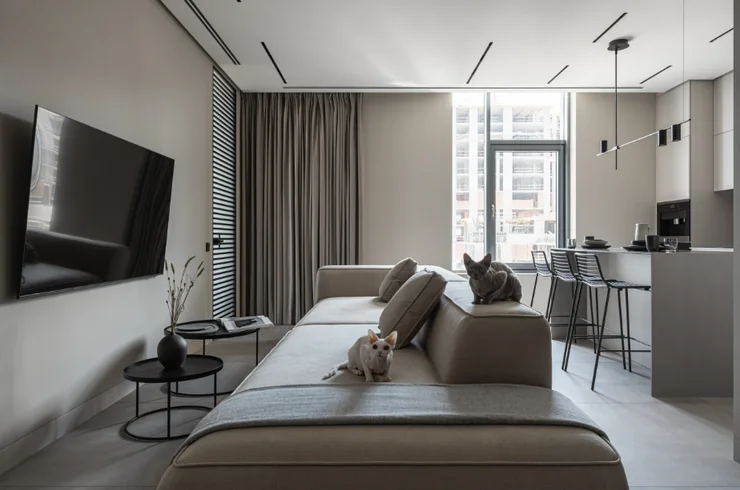 Complete Apartment Remodel