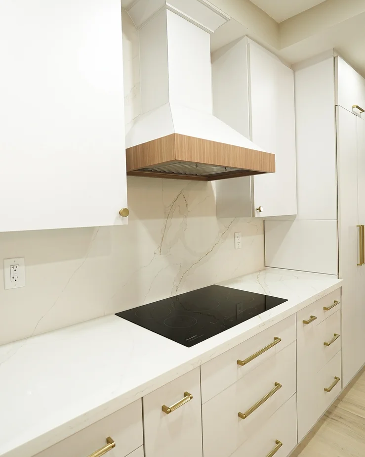 Modern Kitchen Renovation with Custom Cabinetry and Quartz Surfaces