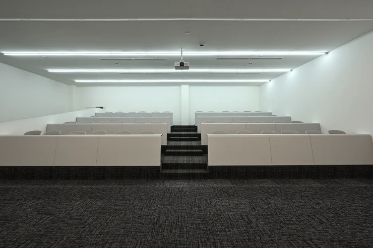 Modern Lecture Hall Renovation
