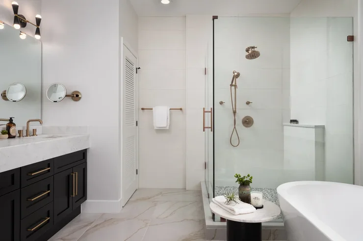 Modern Master Bathroom Remodel